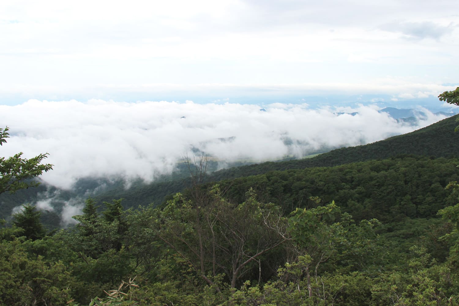 Hakkaisan Shrine and the breathtaking sea of clouds view