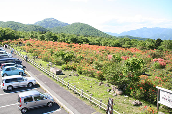 Ōmama, with its beautiful azalea colony